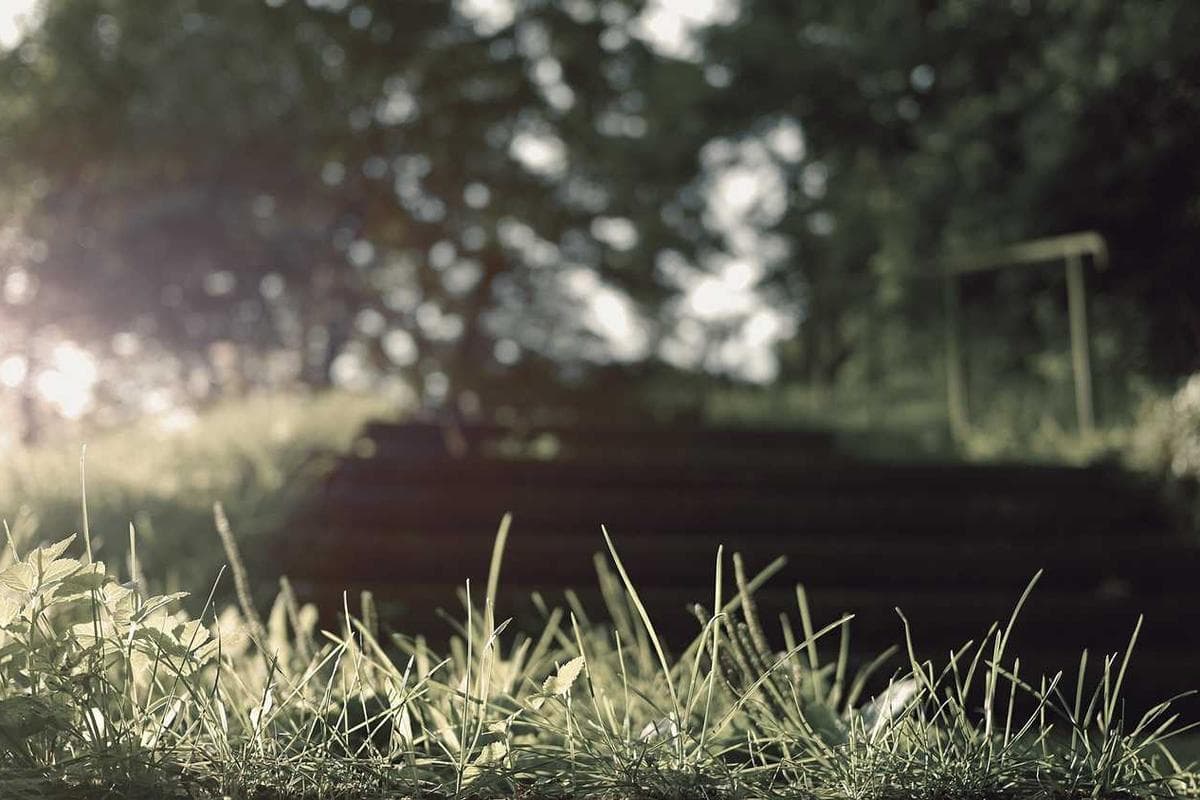 Abstract fashion background